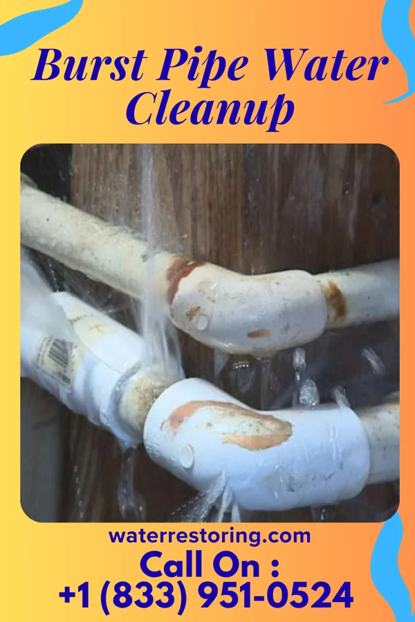 Burst Pipe Water Cleanup in Worthville, KY