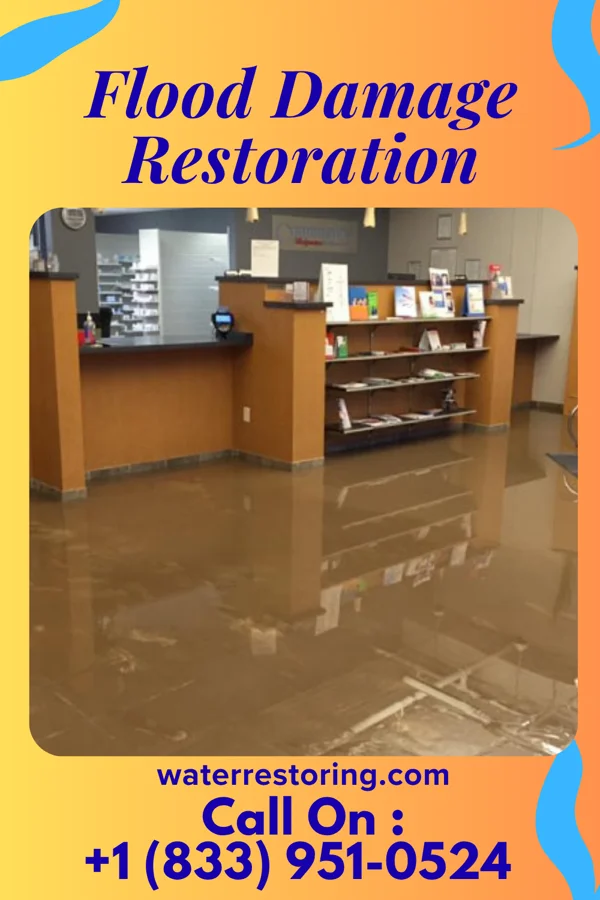 Flood Damage Restoration in Worthville, KY