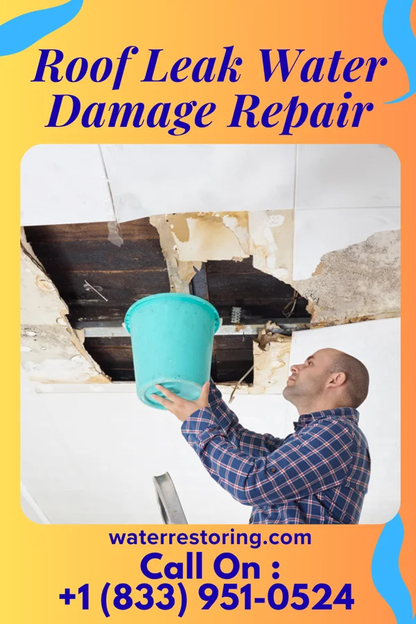 Roof Leak Water Damage Repair in Worthville, KY
