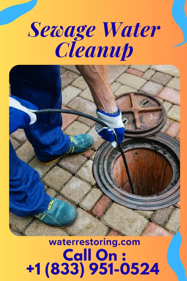 Sewage Water Cleanup in Worthville, KY